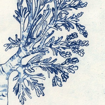 Capa de livro com ilustração azul de árvore e texto cantos de estima