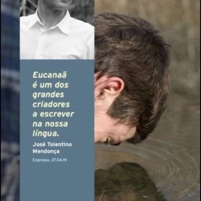 Capa de livro Pavão do 4.º Andar com fotos de homem e texto em português.