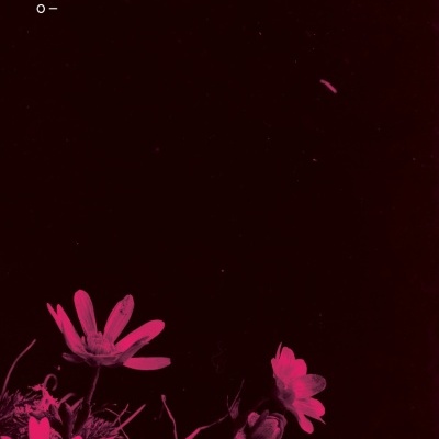 Capa de livro preta com flores cor-de-rosa e texto