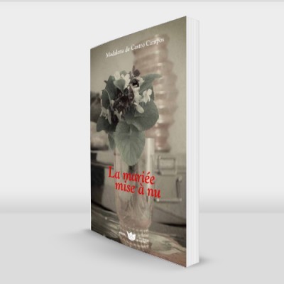 Livro com capa ilustrada em tons sépia e bege com texto visível na capa