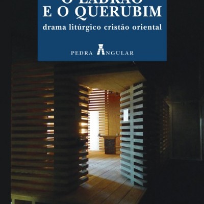 Capa de livro com texto e imagem de interior em madeira com painéis horizontais