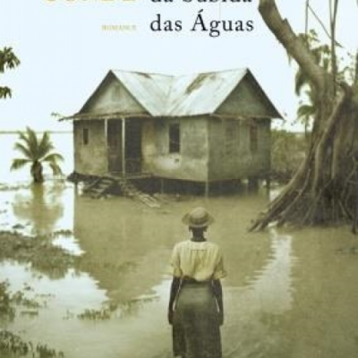 Capa de livro com mulher de costas caminhando para casa de madeira em área alagada