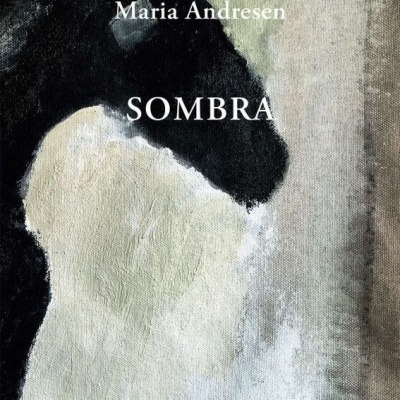 Capa de livro com figura negra e texto