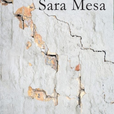 Capa do livro 'A Família' de Sara Mesa com textura de parede rachada