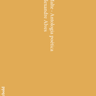 Capa de livro castanha clara com texto branco vertical e horizontal.