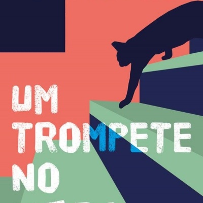 Capa de livro com gato preto e texto branco em fundo laranja e verde.