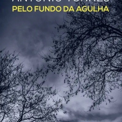 Capa de livro com céu cinzento e ramos de árvores, título 'Pelo Fundo da Agulha' e autor António Torres