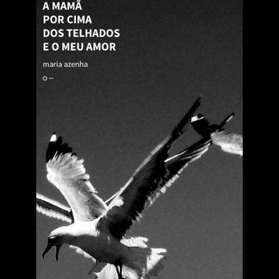 Imagem preto e branco de duas gaivotas a voar com texto em português no canto superior esquerdo