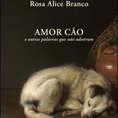Capa de livro com cão a dormir e título 'AMOR CÃO e outras palavras que não adestram'