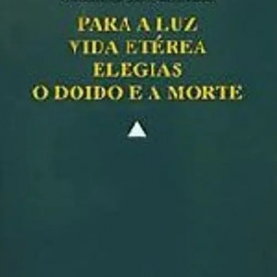 Capa de livro verde escura com texto em amarelo e branco