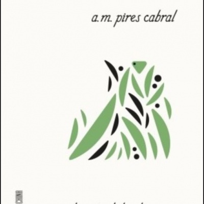 Capa de livro branca com texto e triângulo decorativo de folhas verdes e pretas.