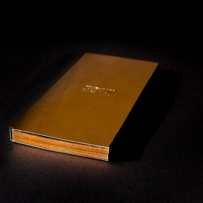 Livro de capa rígida castanho alaranjado com título em relevo sobre fundo preto