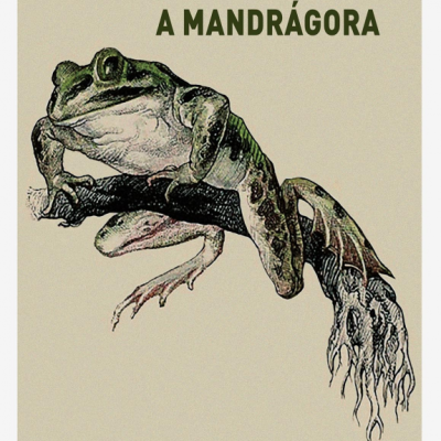 Capa do livro A Mandrágora com ilustração de sapo e raízes sobre fundo bege
