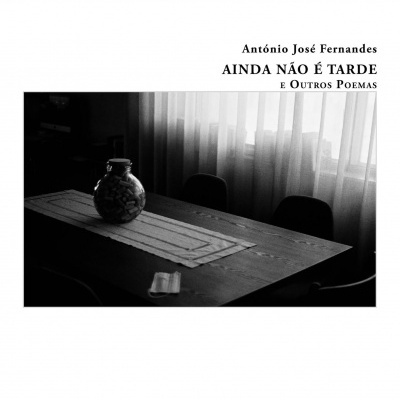 Capa de livro com título e imagem de mesa com vaso e cortinas
