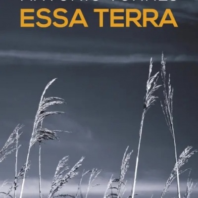 Capa de livro com plantas secas e texto ANTÔNIO TORRES ESSA TERRA