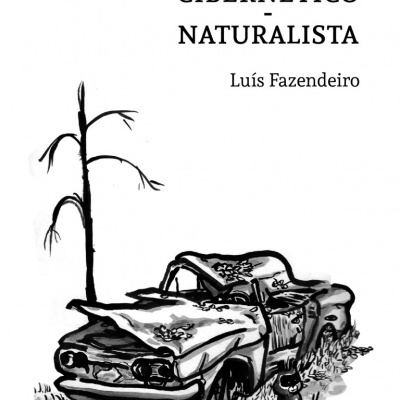 Capa de livro com desenho de carro abandonado, título e autor
