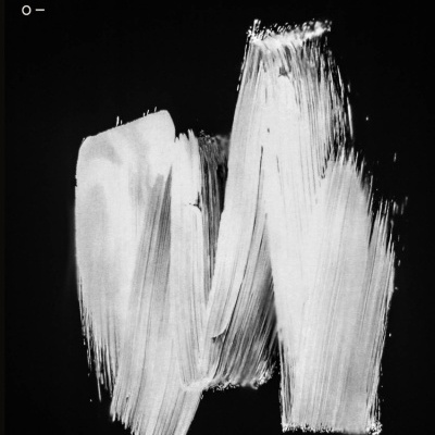 Capa de livro preta com pinceladas brancas e texto em branco.