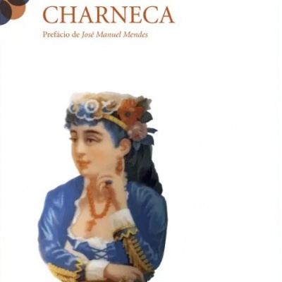 Capa do livro Florir na Charneca com ilustração de mulher em traje azul