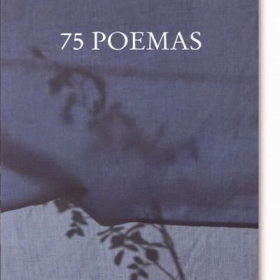 Capa de livro azul e lilás com título 75 POEMAS e nome do autor RUY CINATTI