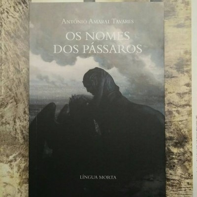 Capa do livro Os Nomes dos Pássaros