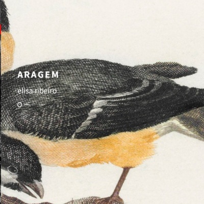 Desenho de pássaro preto, branco e amarelo pousado num ramo, com texto ARAGEM elisa ribeiro o