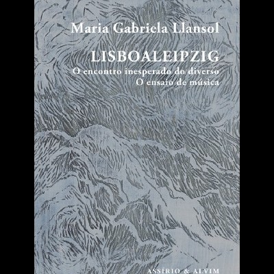 Capa de livro com texto em branco e fundo cinzento texturizado