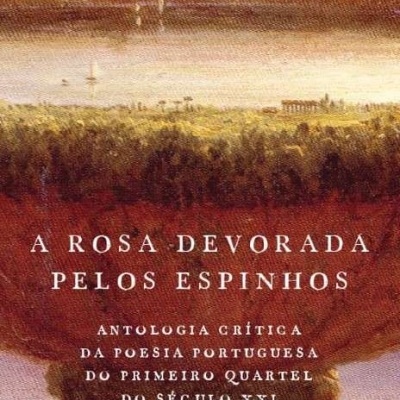 Capa de livro com texto sobre poesia portuguesa e fundo artístico abstrato em tons quentes