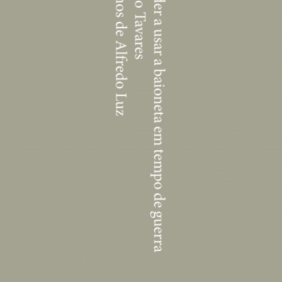 Capa de livro com texto branco em fundo cinza esverdeado