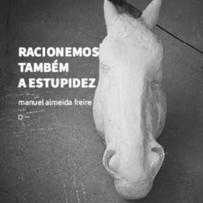 Capa de livro com estátua branca de animal e texto em português