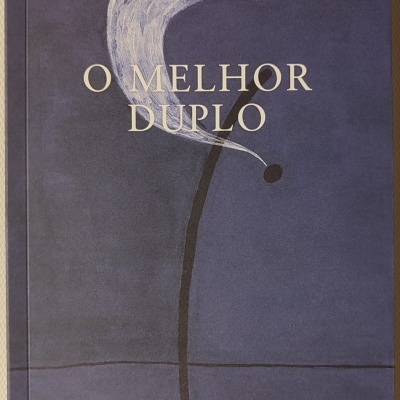 Capa de livro azul escuro com título O MELHOR DUPLO e ilustração abstrata