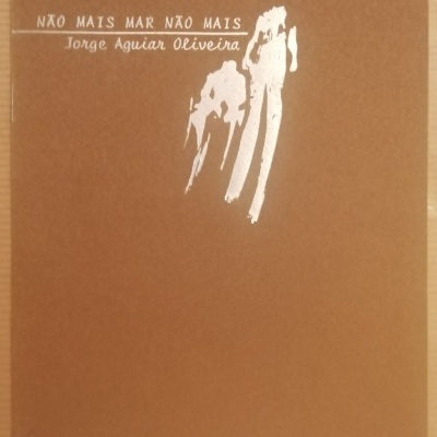 Capa castanha de livro com texto branco e desenho abstrato