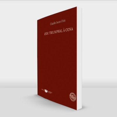 Livro com capa vermelha intitulada 'Questões de direitos e cotas' sobre fundo branco