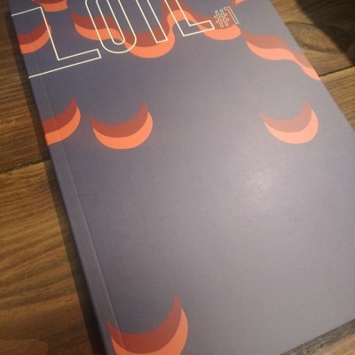 Livro cinza com padrão cor-de-rosa e texto 'LOTE' sobre mesa de madeira