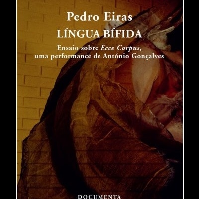 Capa de livro LÍNGUA BÍFIDA de Pedro Eiras com design abstrato em tons castanhos e texto branco