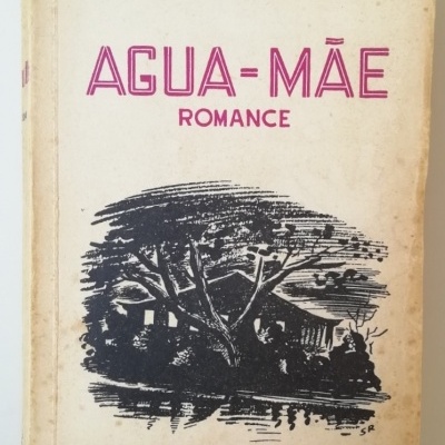 Capa de livro 'AGUA-MÃE ROMANCE' de José Lins do Rego com ilustração preta e texto roxo