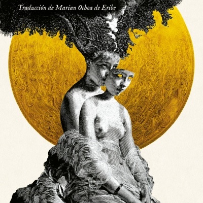 Capa de livro com ilustração artística e texto em espanhol