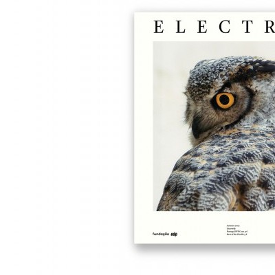Capa de revista com a palavra ELECTRA e foto de uma coruja de perfil