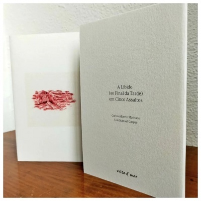 Livro A Libido (ao Final da Tarde) em Cinco Assaltos sobre mesa de madeira