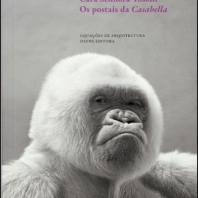 Capa de livro com gorila branco e texto do título e autor