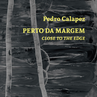 Capa de livro preto e cinzento com texto amarelo