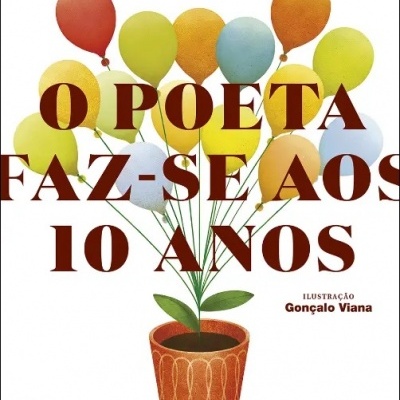 Capa do livro com balões coloridos e vaso com planta