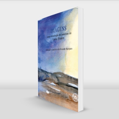 Livro com capa azul e bege mostrando relevo rochoso, título 'IMAGENS'.