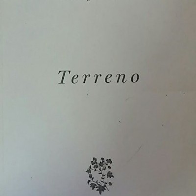Capa branca de livro com texto e desenho floral preto