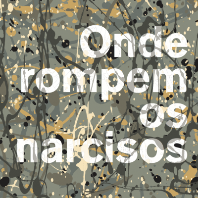 Capa de livro 'Onde rompem os narcisos' com padrão abstrato cinza e bege