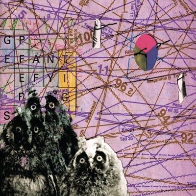 Ilustração com corujas e texto Teoria do Bloom sobre fundo complexo lilás com gráficos e números