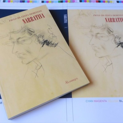 Duas capas do livro Narrativa de Paulo da Costa Domingos sobre folhas com guias de cor.