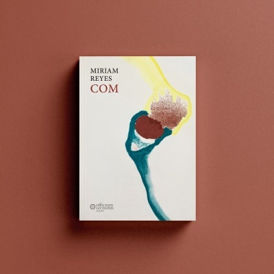 Livro com capa branca e ilustração abstrata colorida