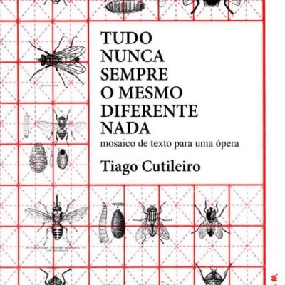 Capa de livro com ilustrações de insetos e texto em português