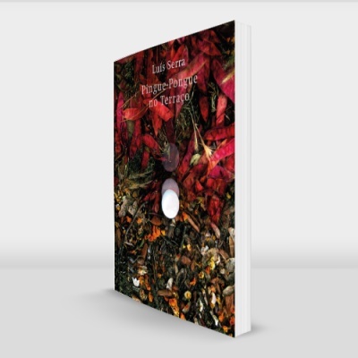 Livro com capa vermelha, preta, folhas outonais e texto 'THE WIND IN THE WILLOWS', com orifício circular no meio.