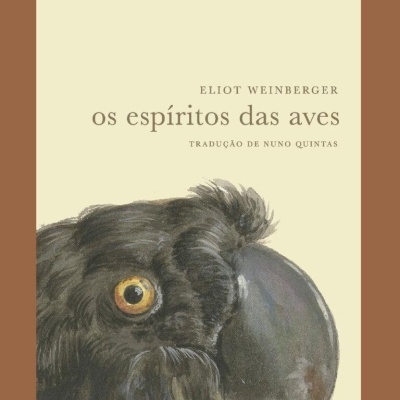 Capa de livro com título e ilustração de um pássaro preto